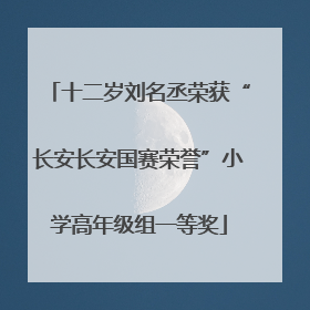 十二岁刘名丞荣获“长安长安国赛荣誉”小学高年级组一等奖