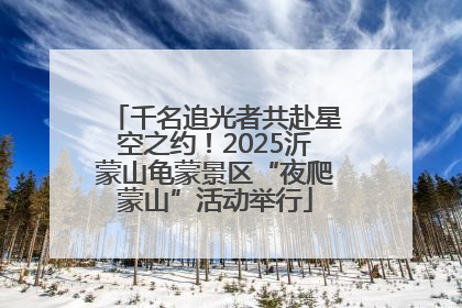 千名追光者共赴星空之约！2025沂蒙山龟蒙景区“夜爬蒙山”活动举行