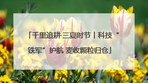 千里追耕·三夏时节丨科技“铁军”护航 麦收颗粒归仓