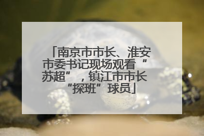 南京市市长、淮安市委书记现场观看“苏超”，镇江市市长“探班”球员