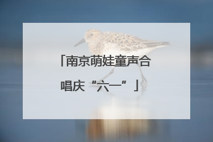 南京萌娃童声合唱庆“六一”