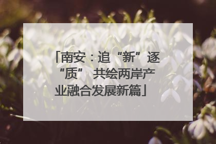 南安：追“新”逐“质” 共绘两岸产业融合发展新篇