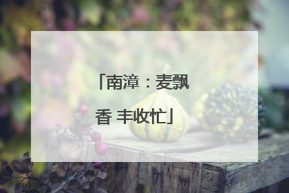 南漳：麦飘香 丰收忙