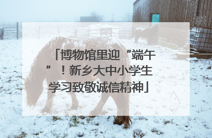 博物馆里迎“端午”！新乡大中小学生学习致敬诚信精神