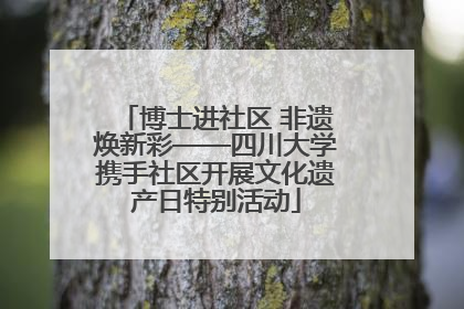 博士进社区 非遗焕新彩——四川大学携手社区开展文化遗产日特别活动