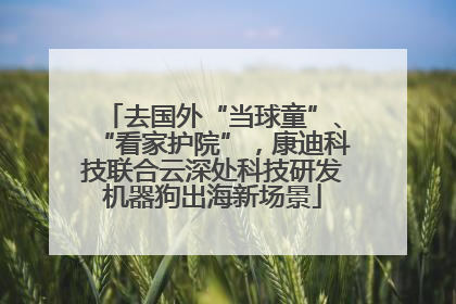 去国外“当球童”、“看家护院”，康迪科技联合云深处科技研发机器狗出海新场景