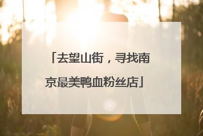 去望山街，寻找南京最美鸭血粉丝店