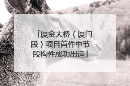 厦金大桥（厦门段）项目首件中节段构件成功出运