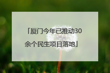 厦门今年已推动30余个民生项目落地