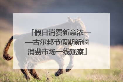 假日消费新意浓——古尔邦节假期新疆消费市场一线观察