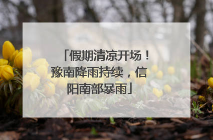 假期清凉开场！豫南降雨持续，信阳南部暴雨