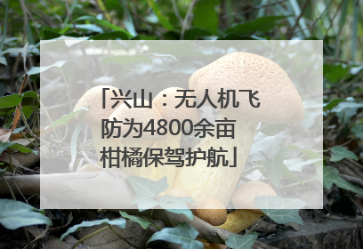 兴山：无人机飞防为4800余亩柑橘保驾护航
