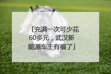 充满一次可少花60多元，武汉新能源车主有福了