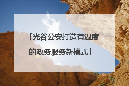 光谷公安打造有温度的政务服务新模式