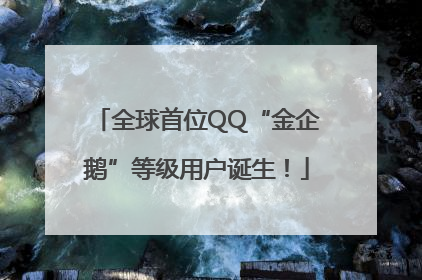 全球首位QQ“金企鹅”等级用户诞生！