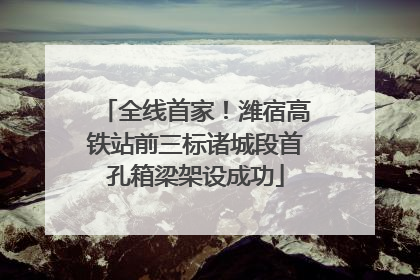 全线首家！潍宿高铁站前三标诸城段首孔箱梁架设成功