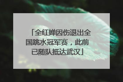 全红婵因伤退出全国跳水冠军赛，此前已随队抵达武汉