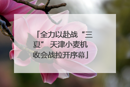 全力以赴战“三夏” 天津小麦机收会战拉开序幕