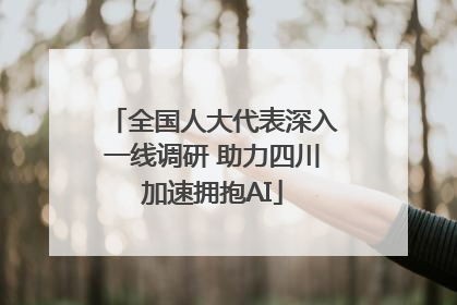 全国人大代表深入一线调研 助力四川加速拥抱AI