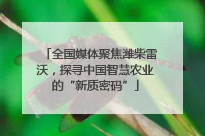 全国媒体聚焦潍柴雷沃，探寻中国智慧农业的“新质密码”