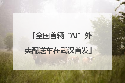 全国首辆“AI”外卖配送车在武汉首发