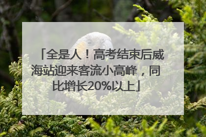 全是人！高考结束后威海站迎来客流小高峰，同比增长20%以上