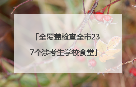全覆盖检查全市237个涉考生学校食堂