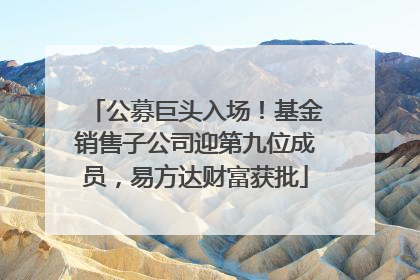 公募巨头入场！基金销售子公司迎第九位成员，易方达财富获批