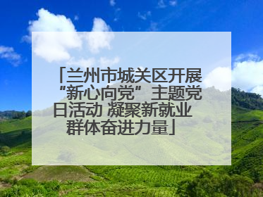兰州市城关区开展“新心向党”主题党日活动 凝聚新就业群体奋进力量