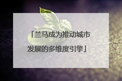 兰马成为推动城市发展的多维度引擎