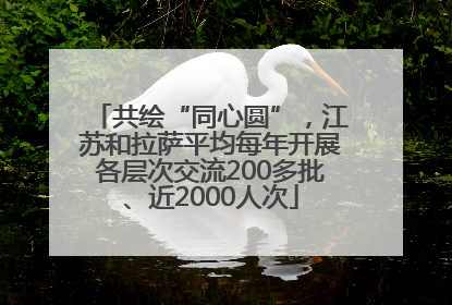共绘“同心圆”，江苏和拉萨平均每年开展各层次交流200多批、近2000人次