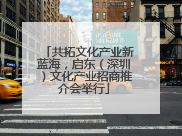 共拓文化产业新蓝海，启东（深圳）文化产业招商推介会举行