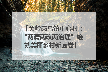 关岭岗乌镇中心村：“两清两改两治理”绘就美丽乡村新画卷