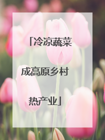 冷凉蔬菜成高原乡村热产业