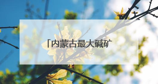 内蒙古最大碱矿找“买家” 储量20.77亿吨