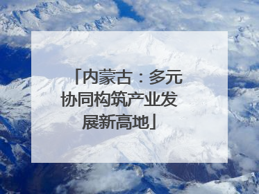 内蒙古：多元协同构筑产业发展新高地
