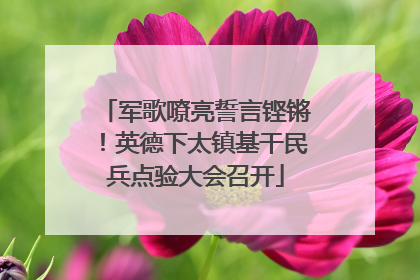 军歌嘹亮誓言铿锵！英德下太镇基干民兵点验大会召开