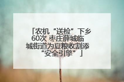 农机“送检”下乡60次 枣庄薛城临城街道为夏粮收割添“安全引擎”