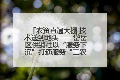农资直通大棚 技术送到地头——岱岳区供销社以“服务下沉”打通服务“三农”最后一公里
