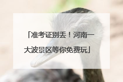 准考证别丢！河南一大波景区等你免费玩