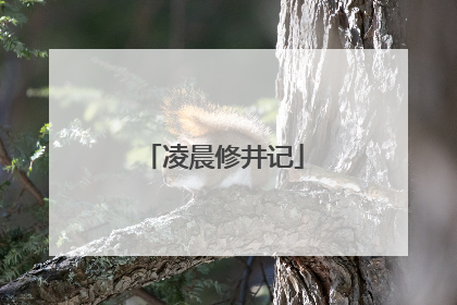 凌晨修井记