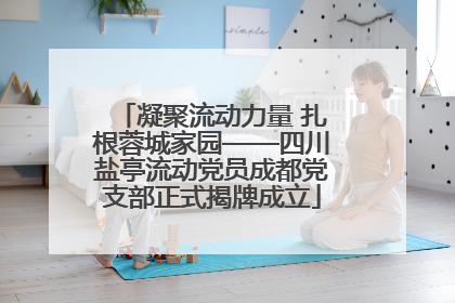 凝聚流动力量 扎根蓉城家园——四川盐亭流动党员成都党支部正式揭牌成立