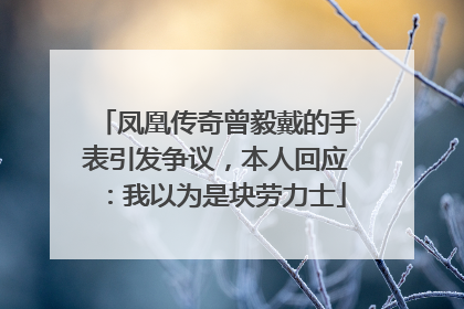 凤凰传奇曾毅戴的手表引发争议，本人回应：我以为是块劳力士