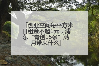 创业空间每平方米日租金不超1元，浦东“青创15条”满月带来什么