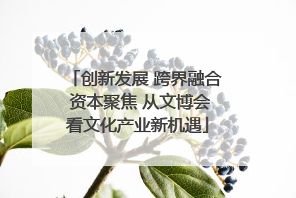 创新发展 跨界融合 资本聚焦 从文博会看文化产业新机遇