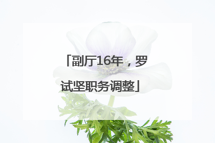 副厅16年，罗试坚职务调整