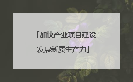 加快产业项目建设 发展新质生产力