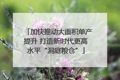 加快推动大面积单产提升 打造新时代更高水平“洞庭粮仓”