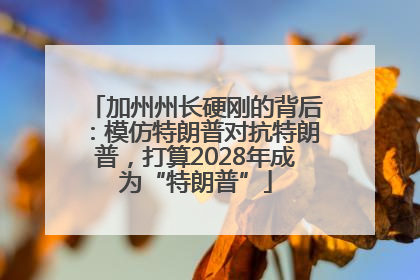 加州州长硬刚的背后：模仿特朗普对抗特朗普，打算2028年成为“特朗普”