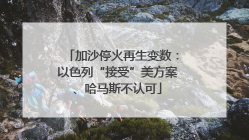 加沙停火再生变数：以色列“接受”美方案、哈马斯不认可